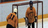 http://pages.videotron.com/ymatte/images/timage2.jpg